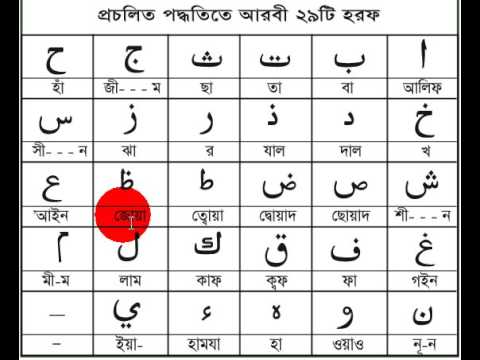 Arabic bengali dictionary pdf